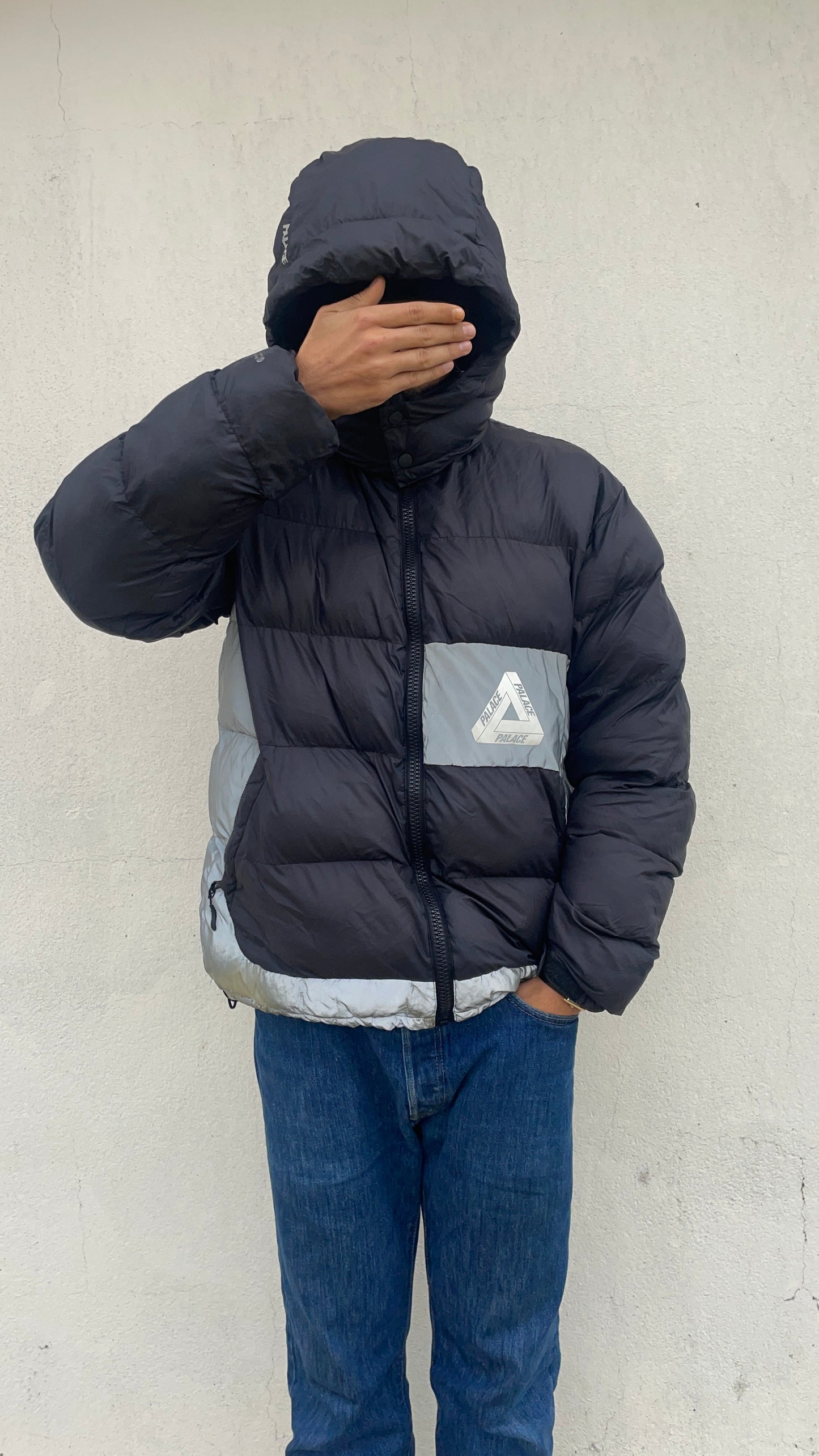 Palace Pal-Tex Puffer (L)