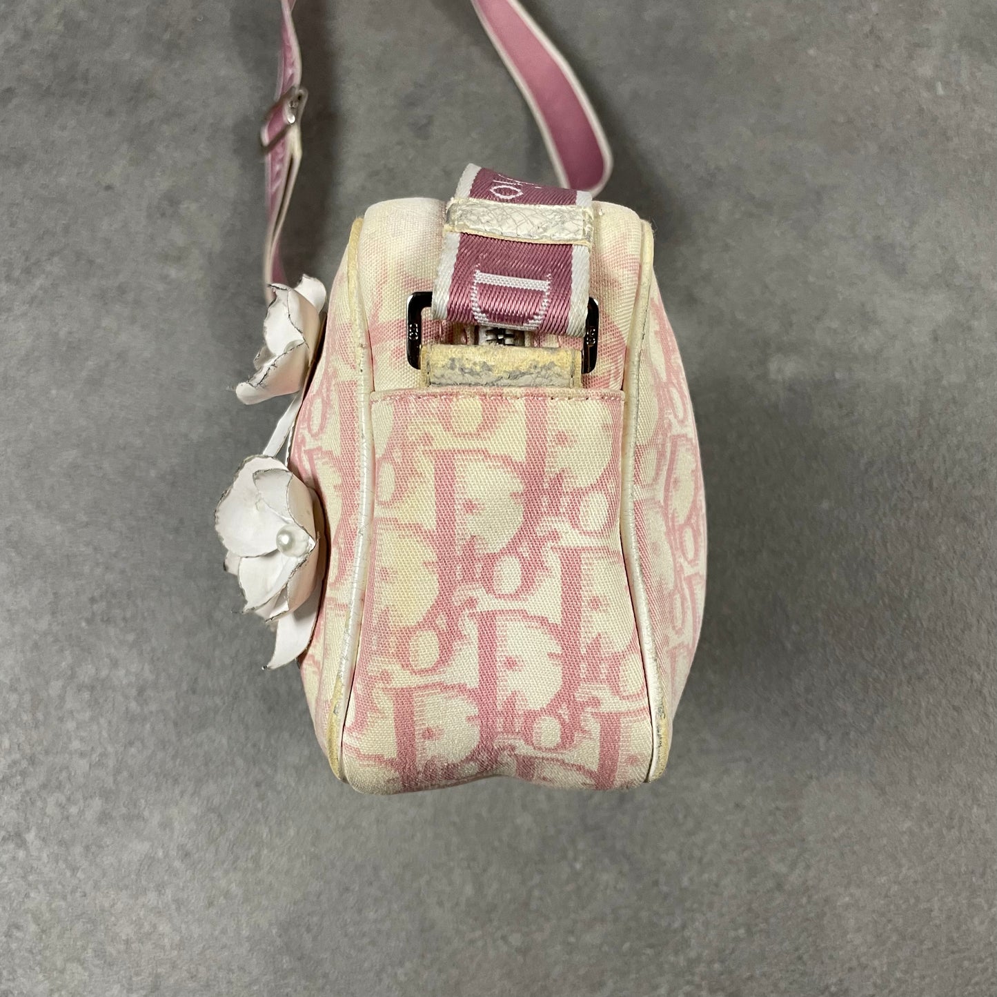 Dior Pink Monogram Messenger